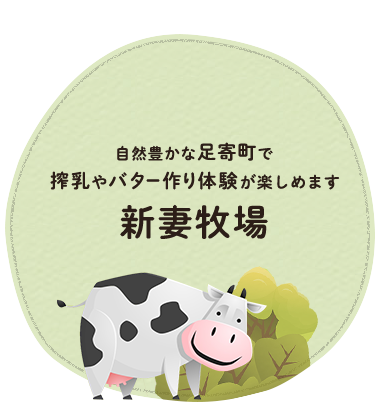 牛や山羊･鶏･猫などいろいろな動物たちとふれあえます♪