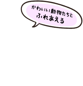 北海道足寄郡にある新妻牧場の牧場体験でかわいい動物とふれあえる 新妻牧場